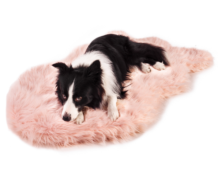 Border Collie resting on Blush Pink Faux Fur Bed