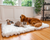 Golden Retriever, Yorkie, Cat resting on white plush faux fur pet orthopedic bed