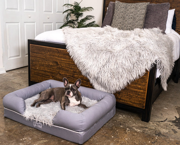 French Bulldog on Grey Topper with matching Grey Blanket 