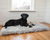 Black Labrador Retriever on Grey Orthopedic Dog Bed Rug 