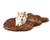 Corgi dog resting on brown faux fur pet bed