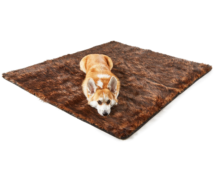 corgi resting on top of brown, faux fur blanket