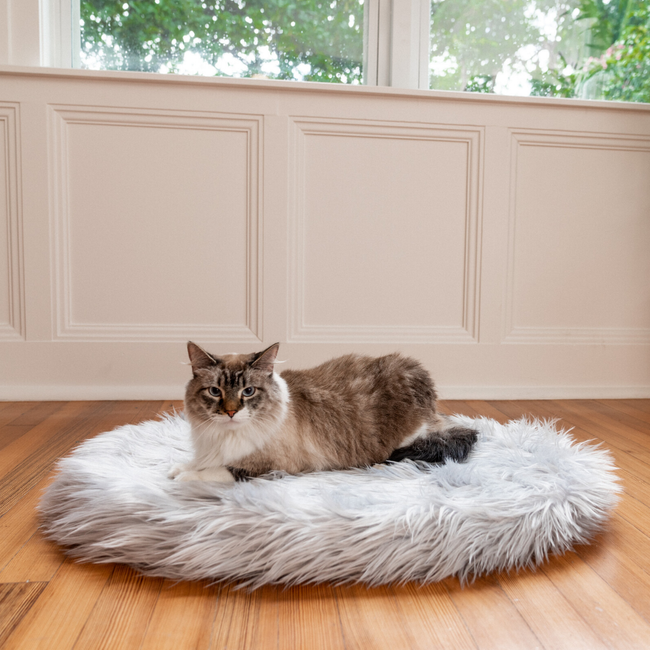 CatNap™ Memory Foam Cat Bed Grey Canada