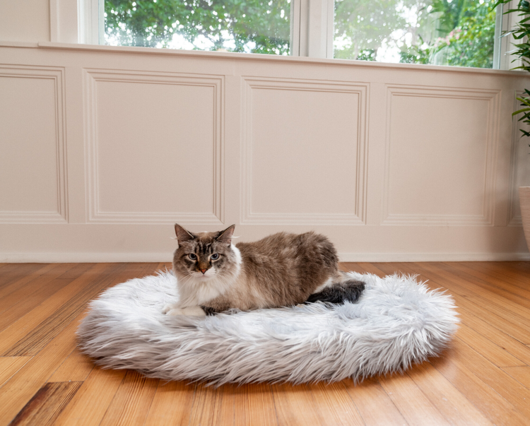 Cat on Grey Faux Fur Bed