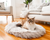 Cat sticking tongue out posing on Grey Faux Fur Bed in front of White Couch 