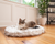 Cat on Luxurious White Faux Fur Orthopedic Bed