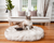 Cat on White Faux Fur Bed in Living Room in front of couch