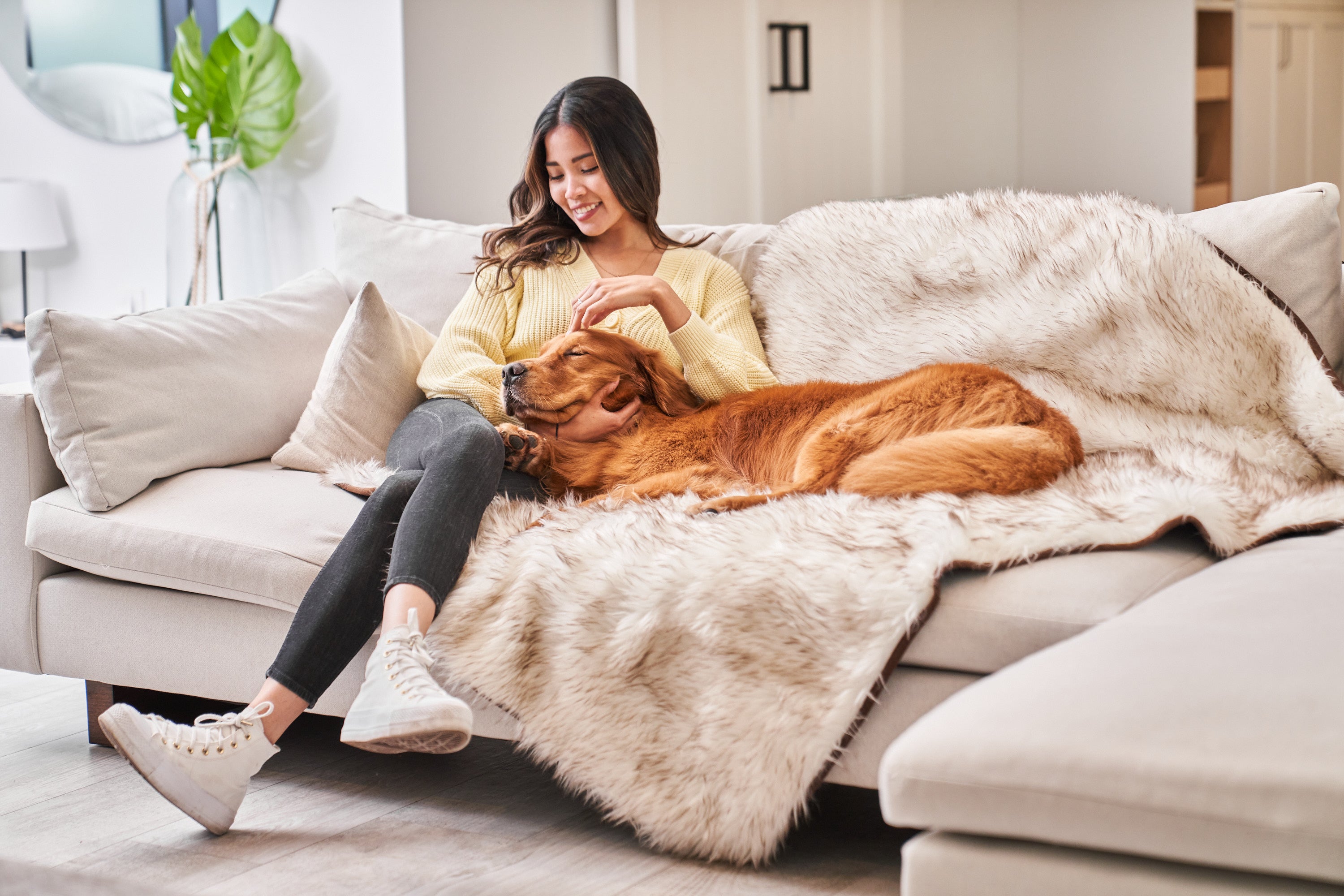 Dog hotsell couch blanket