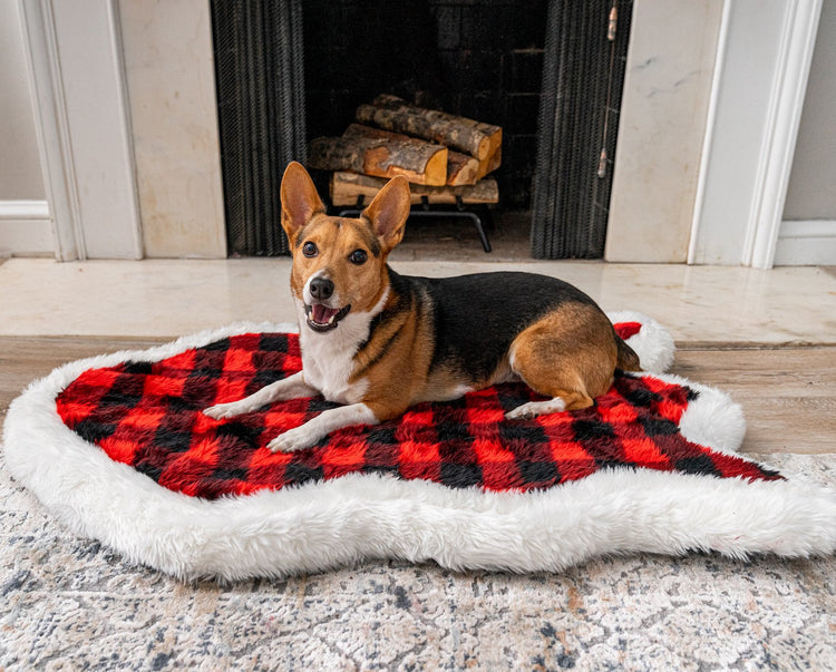 Corgi dog posing on winter plaid dog bed in front of fireplace