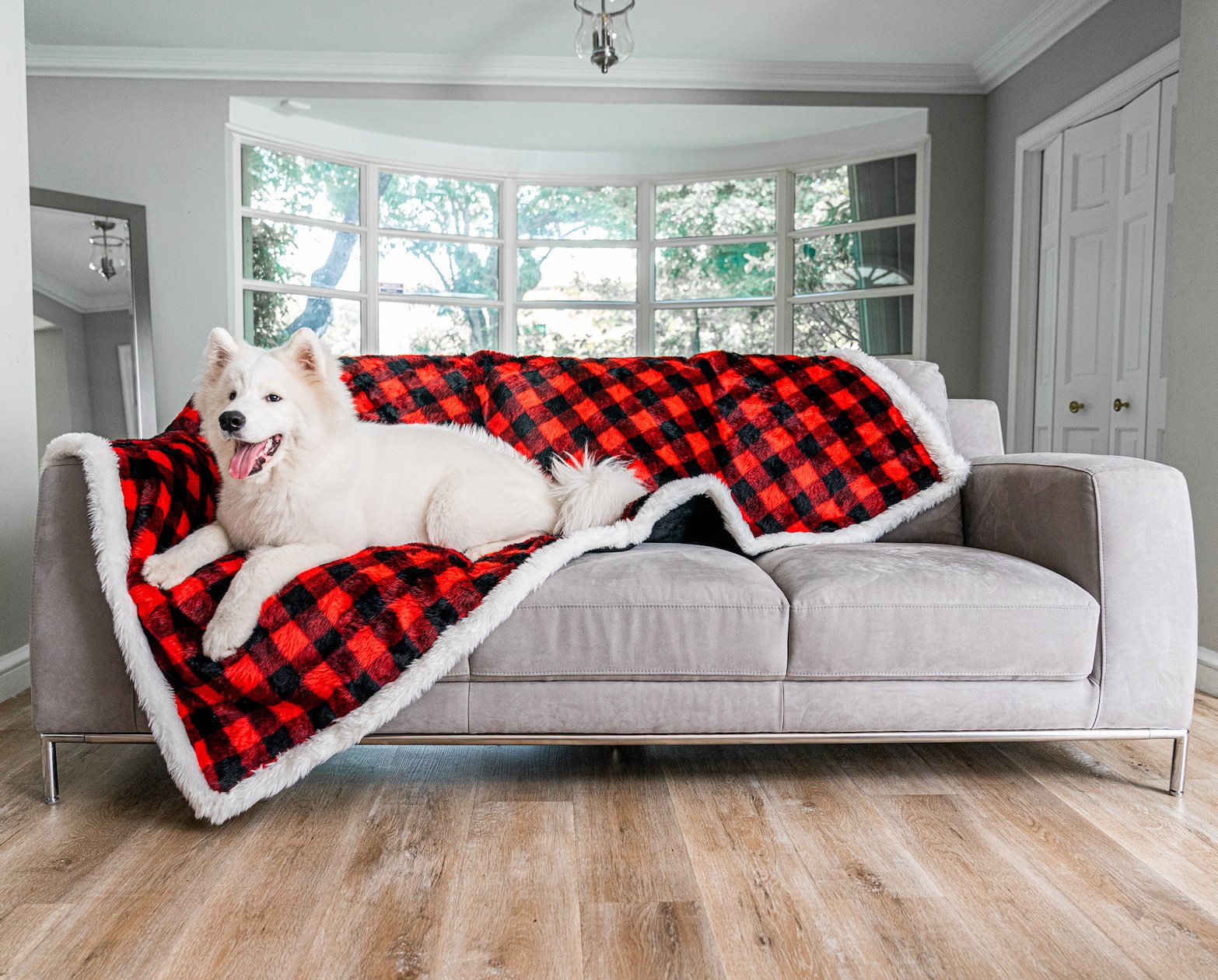 Dog blanket outlet for couch