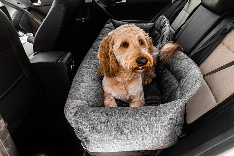 PupProtector™ Memory Foam Car Dog Bed