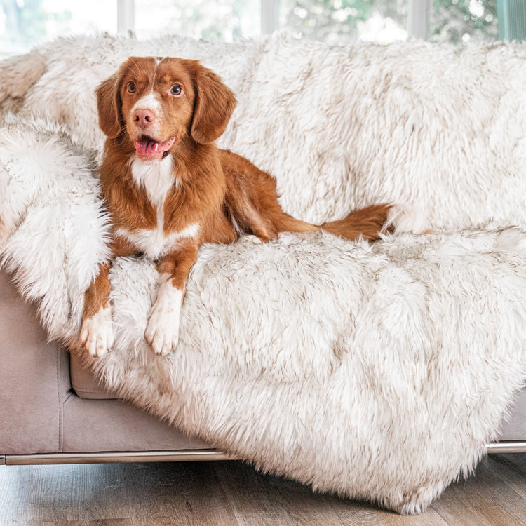 PupProtector™ Waterproof Throw Blanket - White with Brown Accents