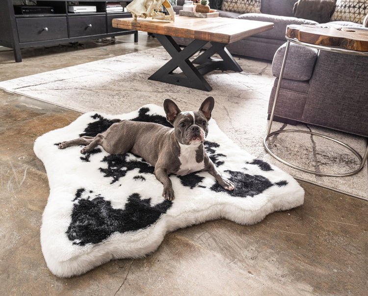 French Bulldog on Black Faux Bed Junior