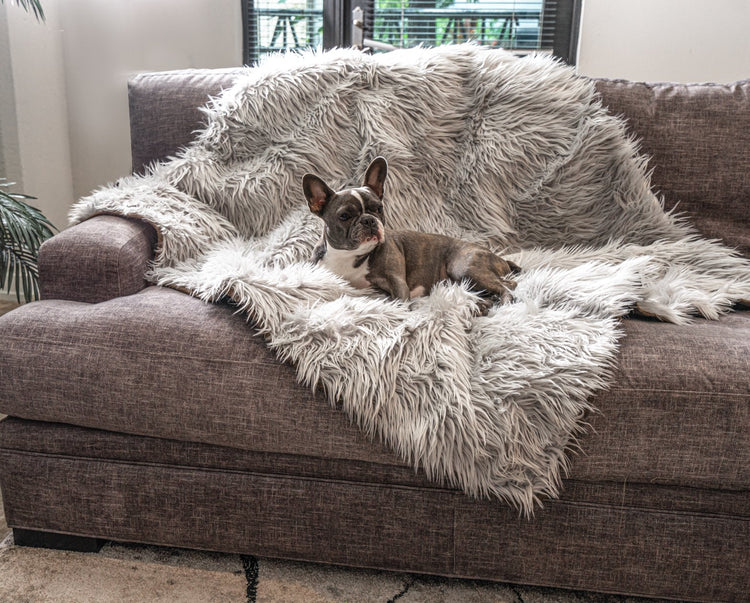 PupRug™ Bundle - Orthopedic Bed Rectangle, Grey + Matching Waterproof Blanket