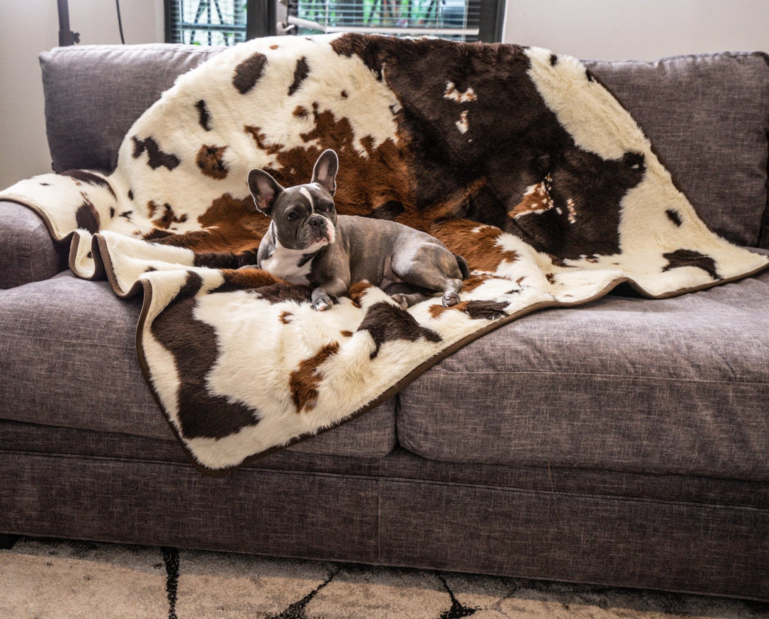 French Bulldog on Brown Faux Cowhide Blanket