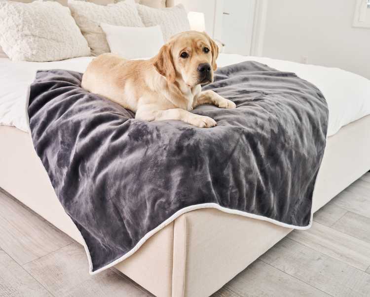 PupProtector™ Waterproof Throw Blanket - Grey Velvet