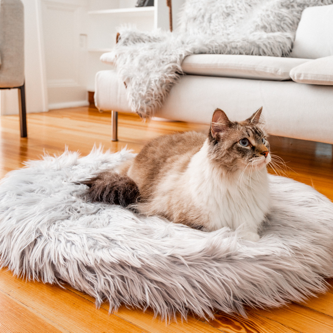 CatNap™ Memory Foam Cat Bed Grey Canada
