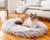 Cat on Grey Faux Fur Bed in Living Room