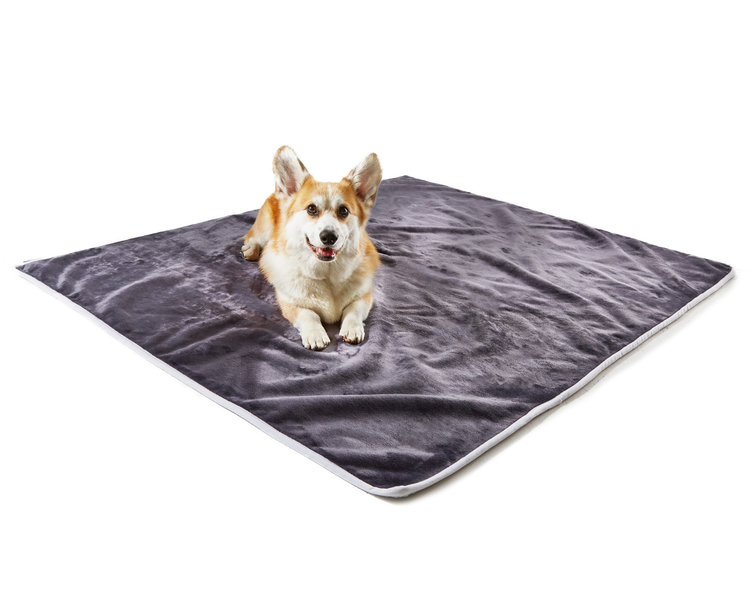 PupProtector™ Waterproof Throw Blanket - Grey Velvet