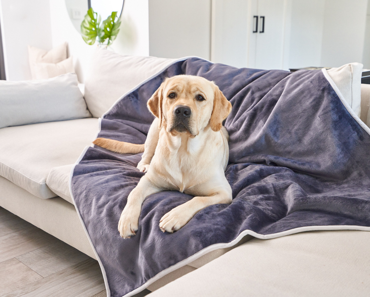 PupProtector™ Waterproof Throw Blanket - Grey Velvet