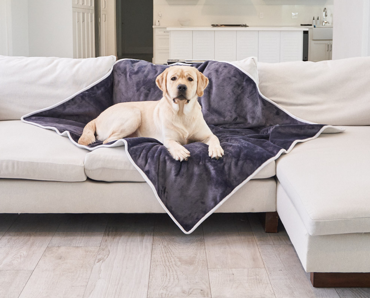 PupProtector™ Waterproof Throw Blanket - Grey Velvet