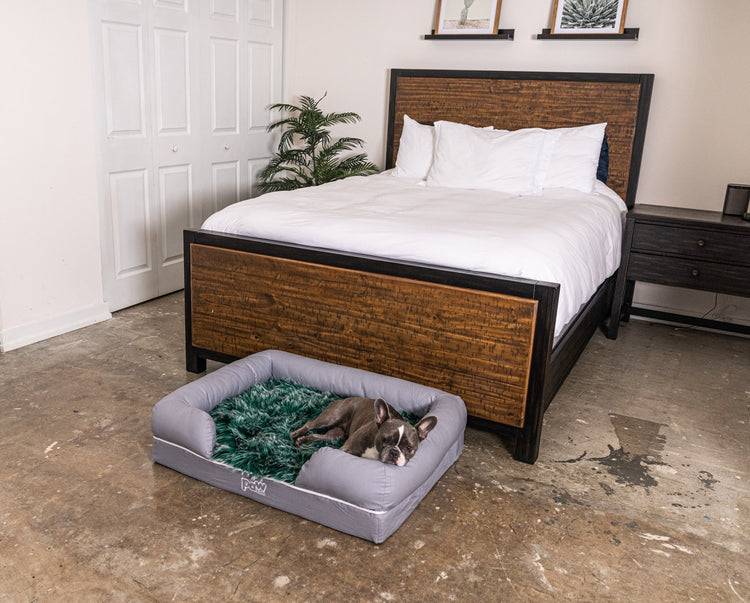 French Bulldog on Green Faux Fur Topper in Bedroom