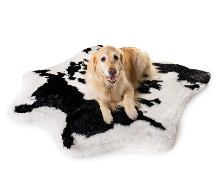 Golden Retriever on Black Cowhide Bed