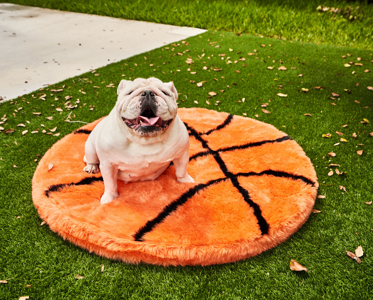 PupRug™ Faux Fur Orthopedic Dog Bed - Basketball