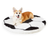 corgi on soccer ball paw sports orthopedic dog bed