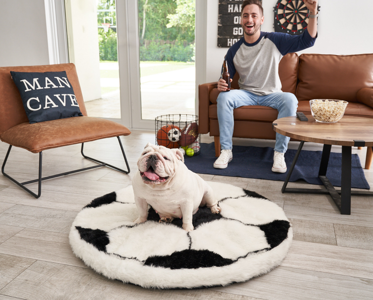 bulldog and man watching sports game on sports-themed pet bed 