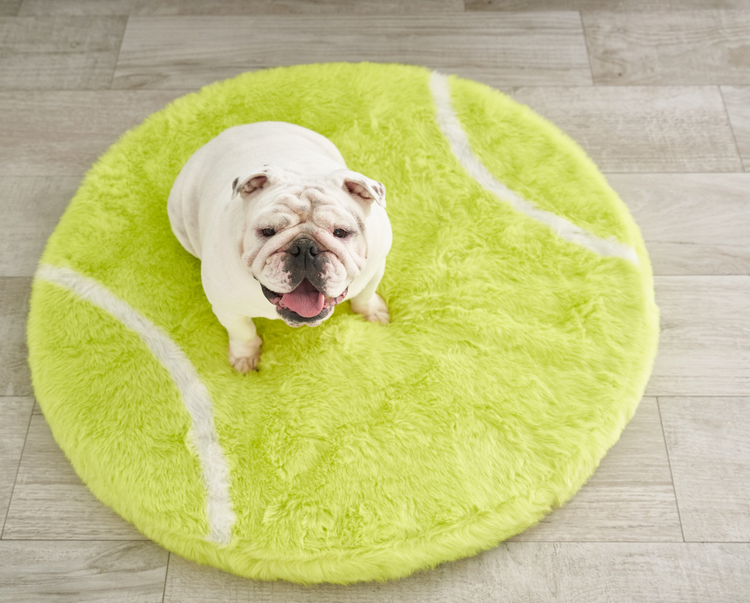 Tennis Ball Orthopedic Dog Bed Paw Sports Paw Canada