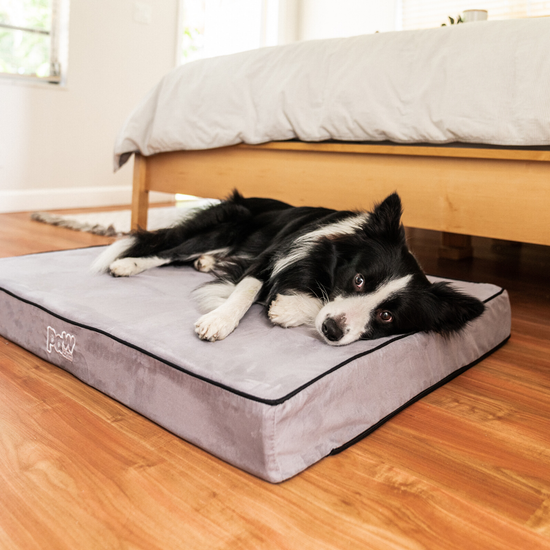 Dog Beds | Paw Canada – Paw.com Canada