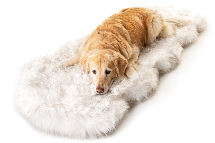 PupRug™ Runner Faux Fur Memory Foam Dog Bed - Curve White with Brown Accents