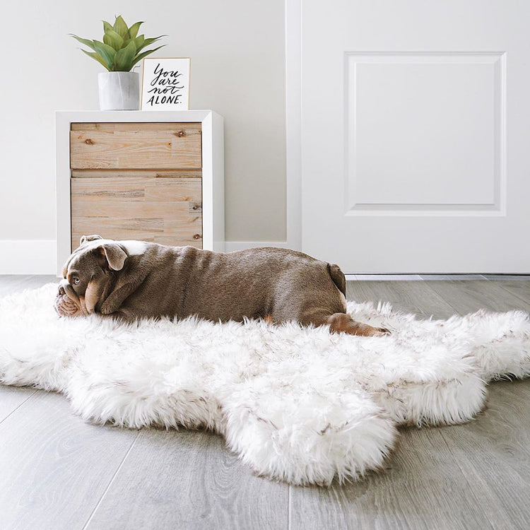 PupRug™ Faux Fur Orthopedic Dog Bed - Curve White with Brown Accents