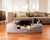 Brown Cowhide Topper on Bed in Living Room with Border Collie laying head on bolster