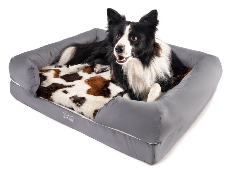 Bolster Bed with brown faux cowhide topper and Border Collie