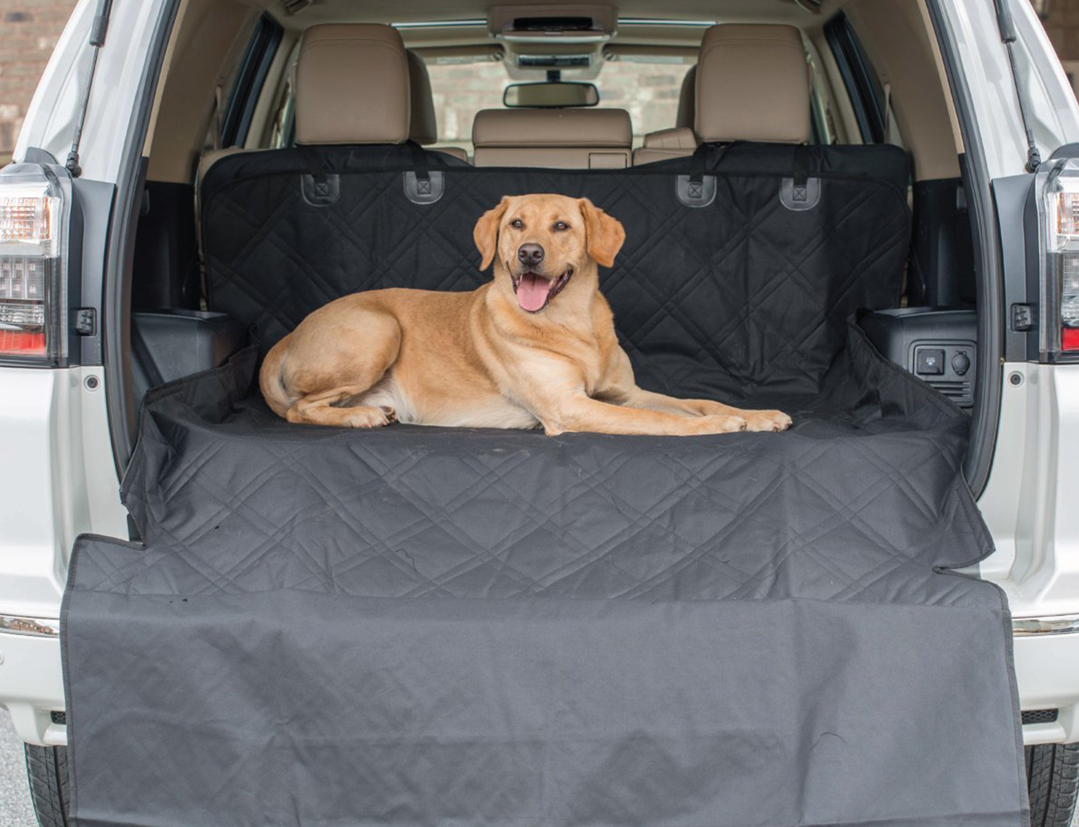 Dog cargo liner discount
