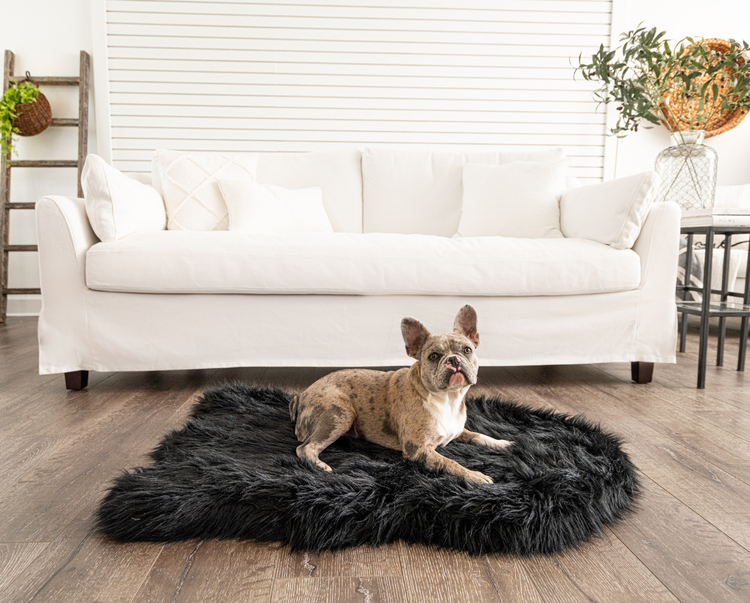 french bulldog on small black faux fur dog bed 