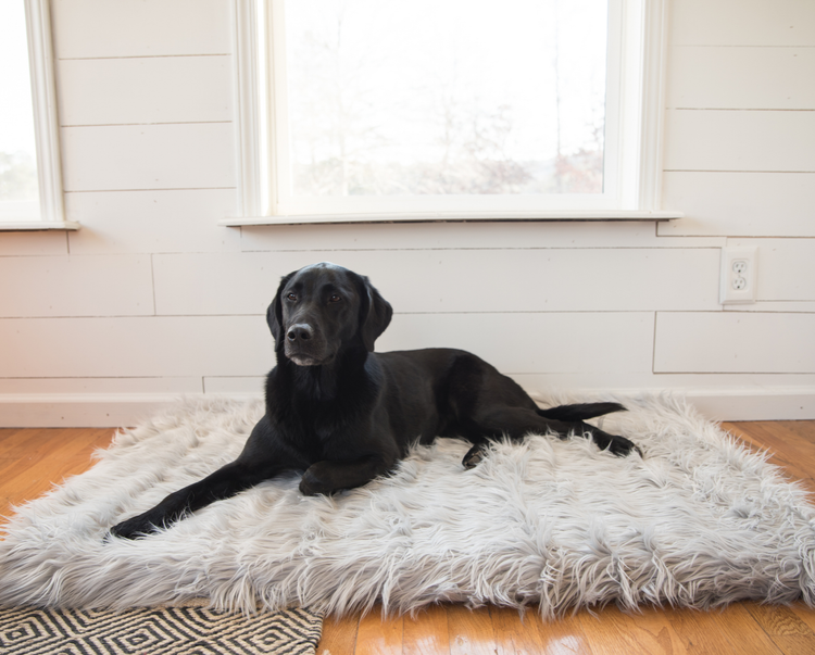 PupRug™ Bundle - Orthopedic Bed Rectangle, Grey + Matching Waterproof Blanket