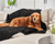 golden retriever dog resting on luxurious black faux fur blanket on white couch