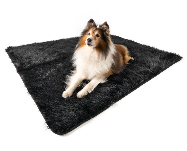 black faux fur throw with sheltie