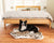 border collie on junior cheetah print faux fur dog bed in bedroom