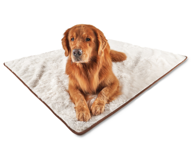 golden retriever dog resting on white faux fur cool comfort blanket