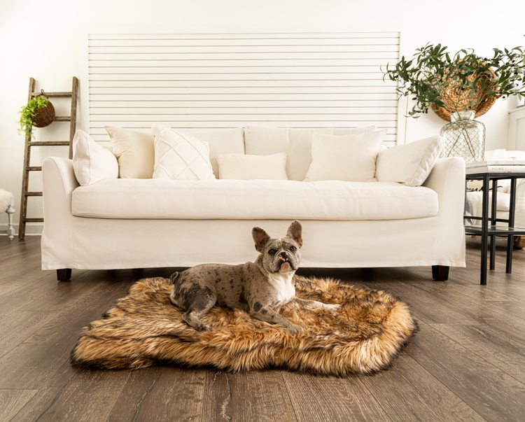 french bulldog resting on tan faux fur dog bed