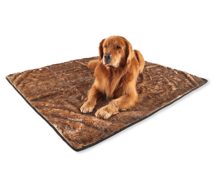 golden retriever dog resting on sable tan short fur throw blanket