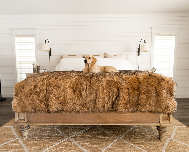 golden retriever resting on tan blanket