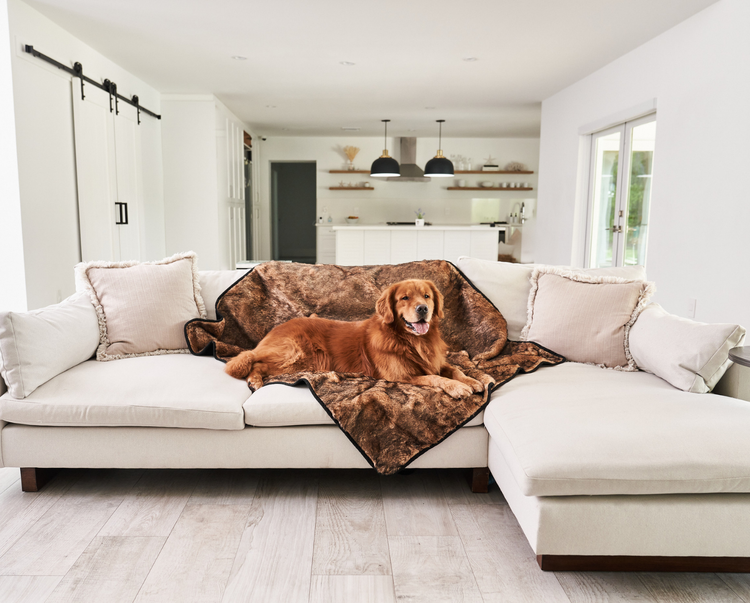 golden retriever resting on sable tan throw blanket