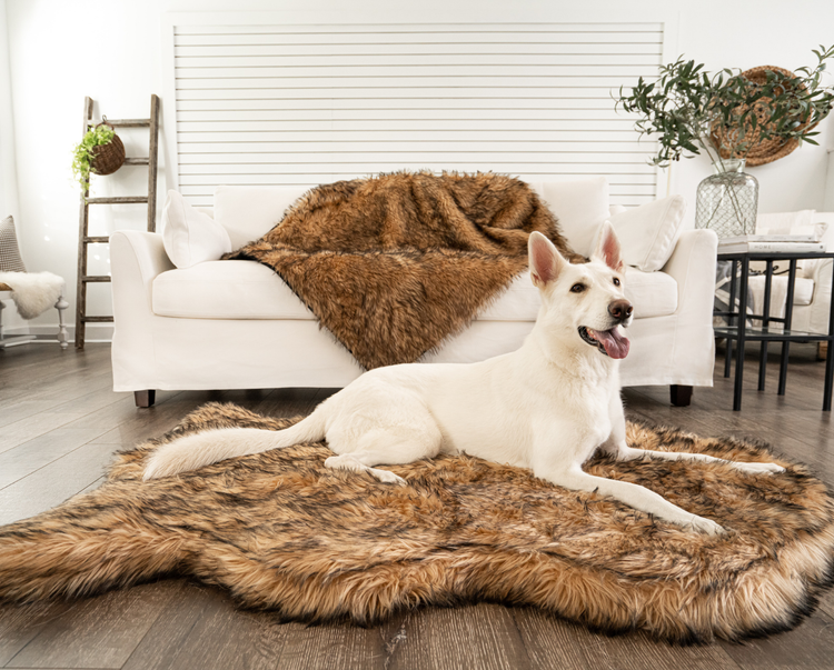 white german shepherd sitting comfy on sable tan faux fur luxury bed in front of blanket on white couch