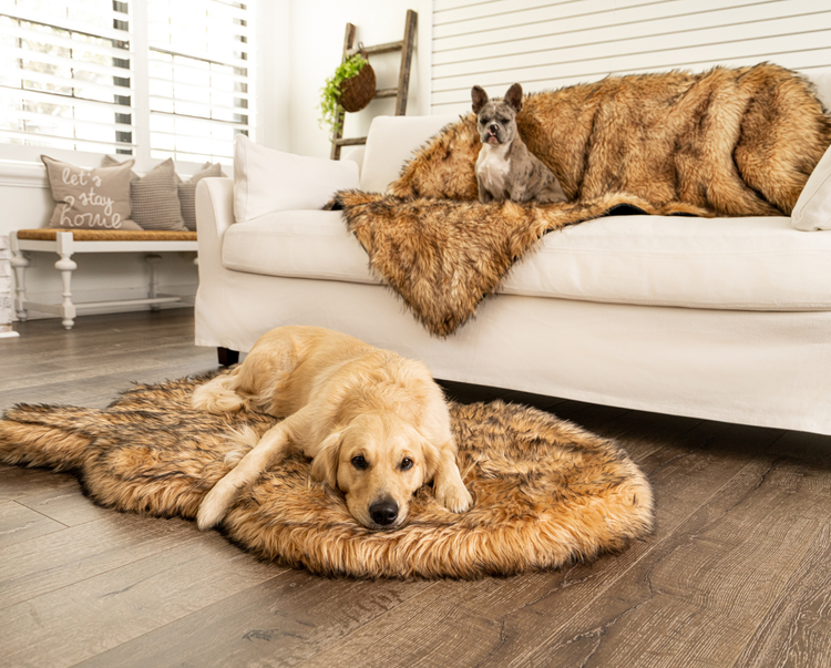 PupRug™ Bundle - Orthopedic Bed Curve, Sable Tan + Matching Waterproof Blanket