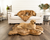 PupRug™ Bundle - Orthopedic Bed Curve, Sable Tan + Matching Waterproof Blanket